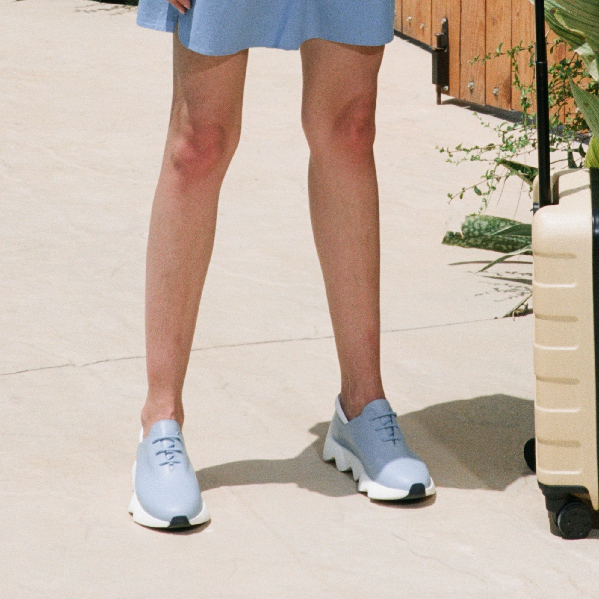 Dali blue sneakers - THUNA